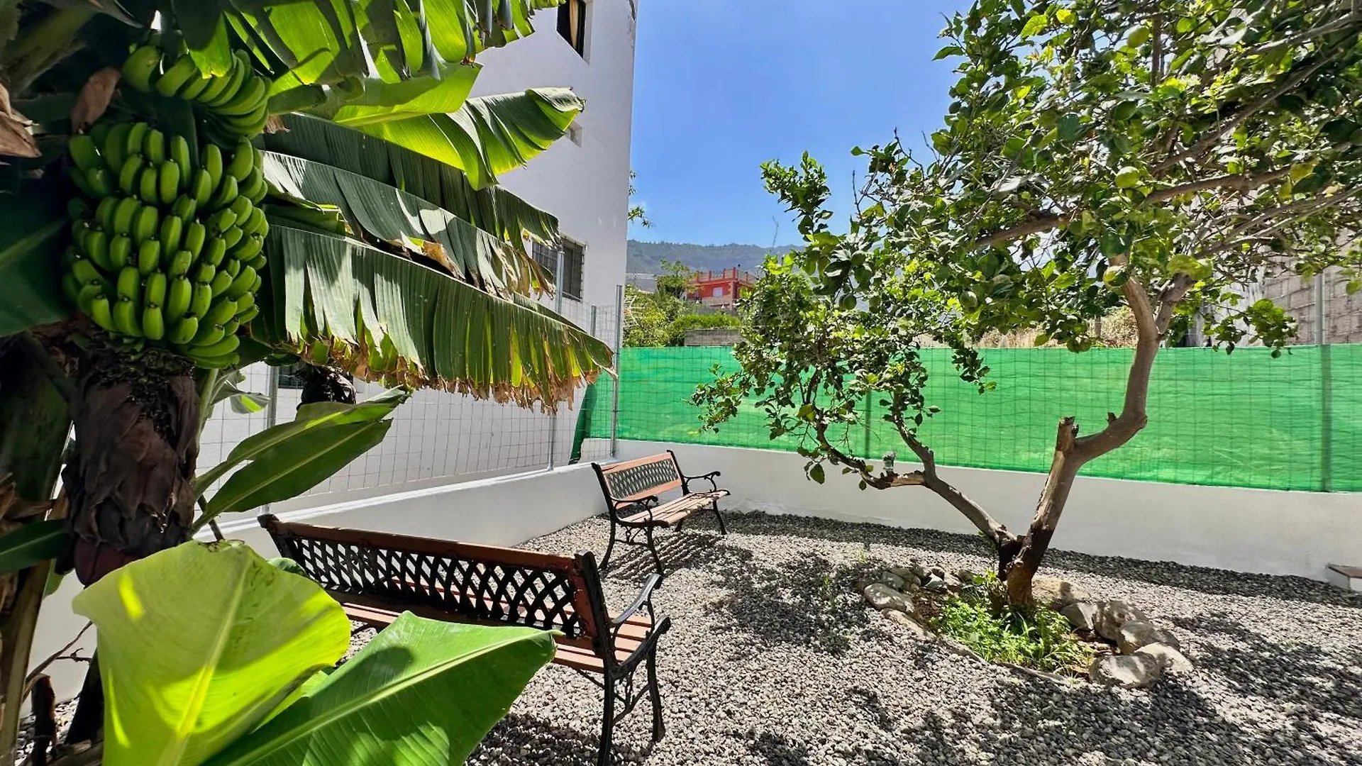 Casa Tina Villa Guimar Holiday home