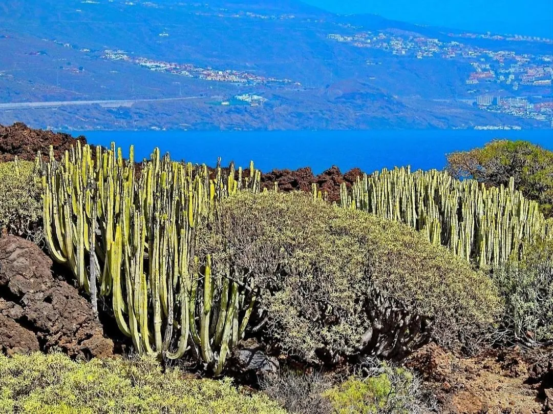 Casa Tina Villa Guimar